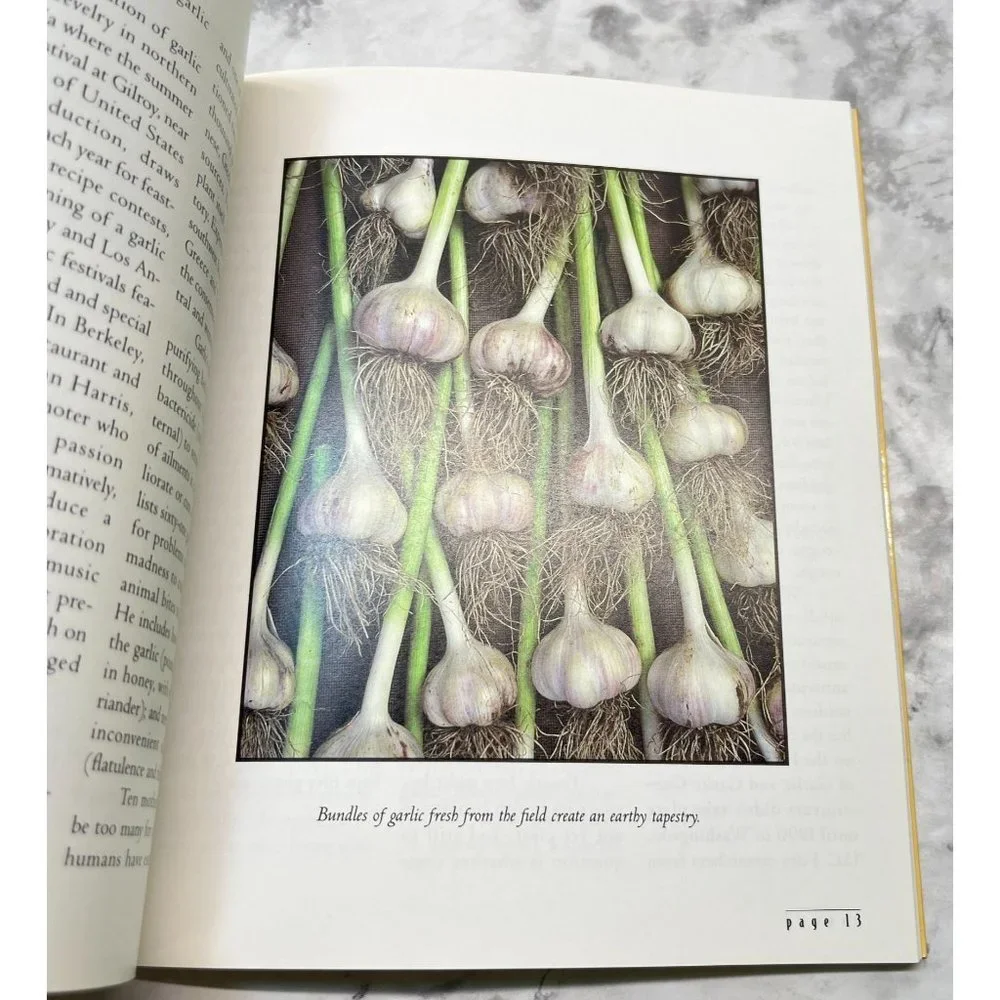 Garlic Book A Garland of Simple Savory Robust Recipes Cookbook Susan Belsinger
